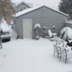 Meet your Posher, Donald